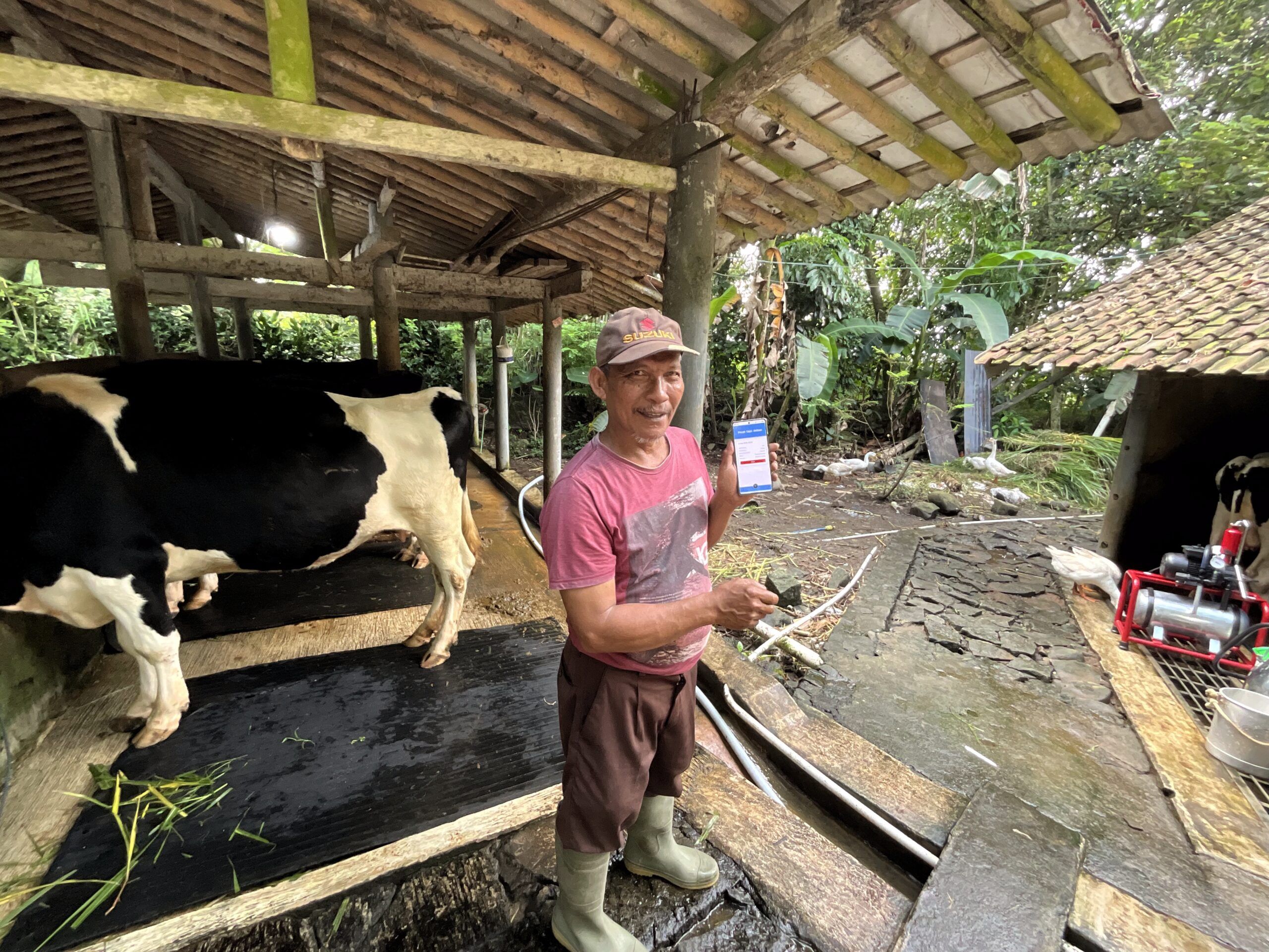 DIGITALISASI PETERNAK SAPI PERAH DI BANYUMAS: APLIKASI PONSEL DORONG PRODUKTIVITAS DAN HARAPAN BARU PRODUKSI SUSU NASIONAL